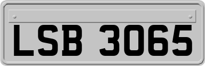 LSB3065