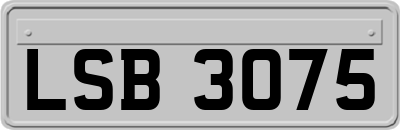 LSB3075