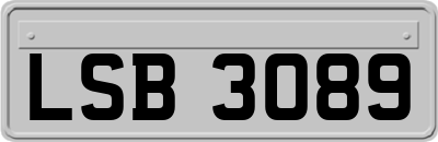 LSB3089