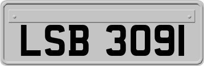 LSB3091