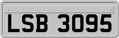 LSB3095