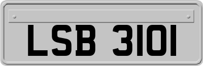 LSB3101