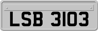 LSB3103