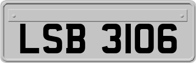 LSB3106