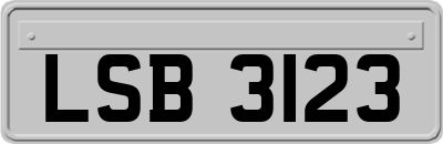 LSB3123
