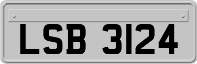 LSB3124