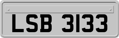 LSB3133