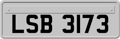 LSB3173