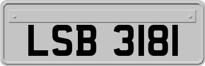 LSB3181