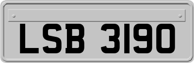 LSB3190