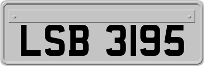 LSB3195