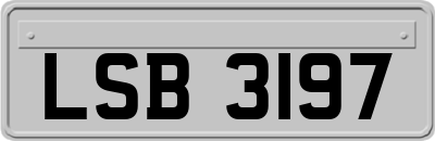 LSB3197