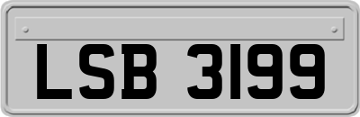 LSB3199