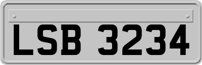 LSB3234