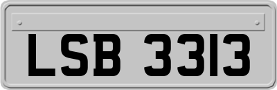 LSB3313