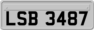 LSB3487