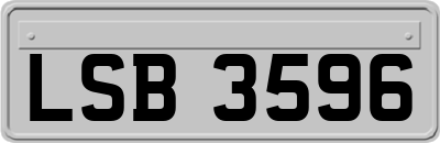 LSB3596