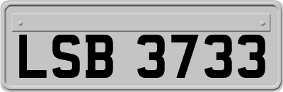 LSB3733