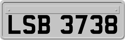 LSB3738