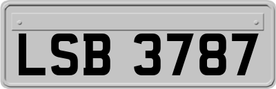 LSB3787