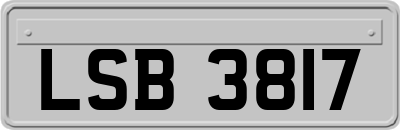 LSB3817
