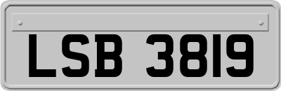 LSB3819