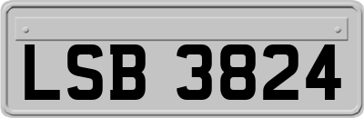 LSB3824