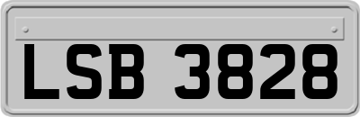 LSB3828