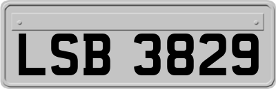 LSB3829