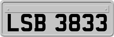 LSB3833