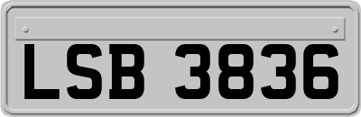 LSB3836