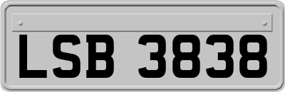 LSB3838