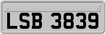 LSB3839
