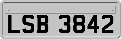 LSB3842