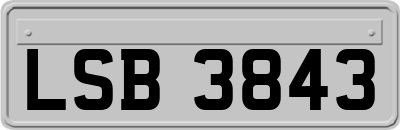LSB3843