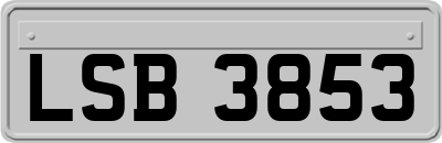 LSB3853