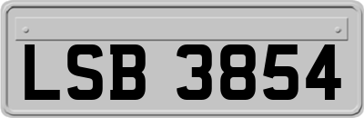 LSB3854