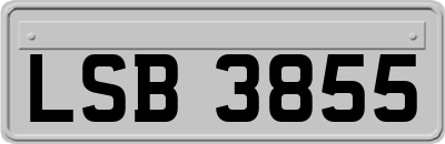 LSB3855