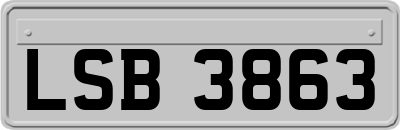 LSB3863
