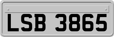 LSB3865