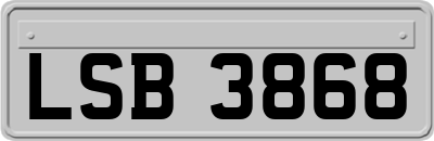 LSB3868