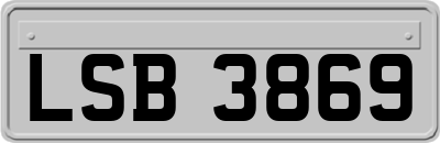 LSB3869