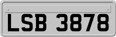 LSB3878