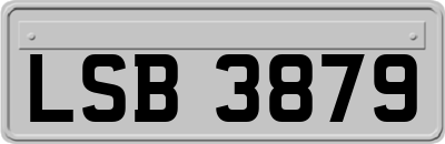 LSB3879