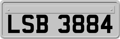LSB3884