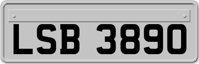 LSB3890