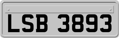 LSB3893