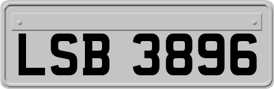 LSB3896
