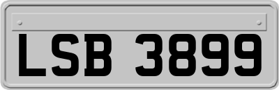 LSB3899
