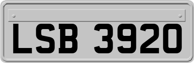 LSB3920